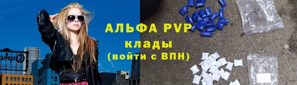 СК Алексин