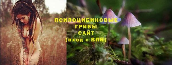 СК Алексин