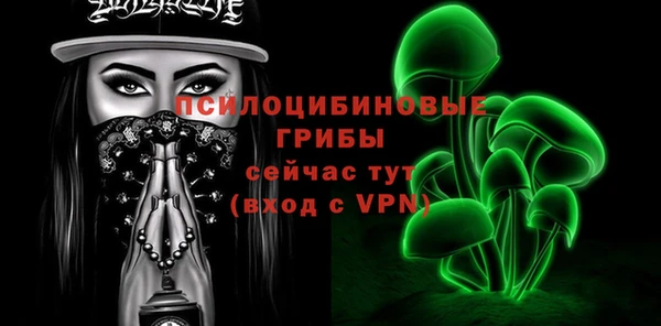 СК Алексин