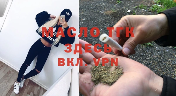 СК Алексин