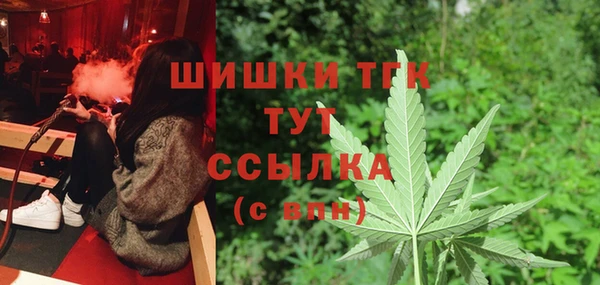 прущие грибы Алексеевка