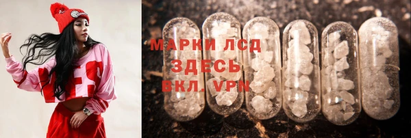 СК Алексин