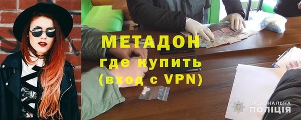 прущие грибы Алексеевка